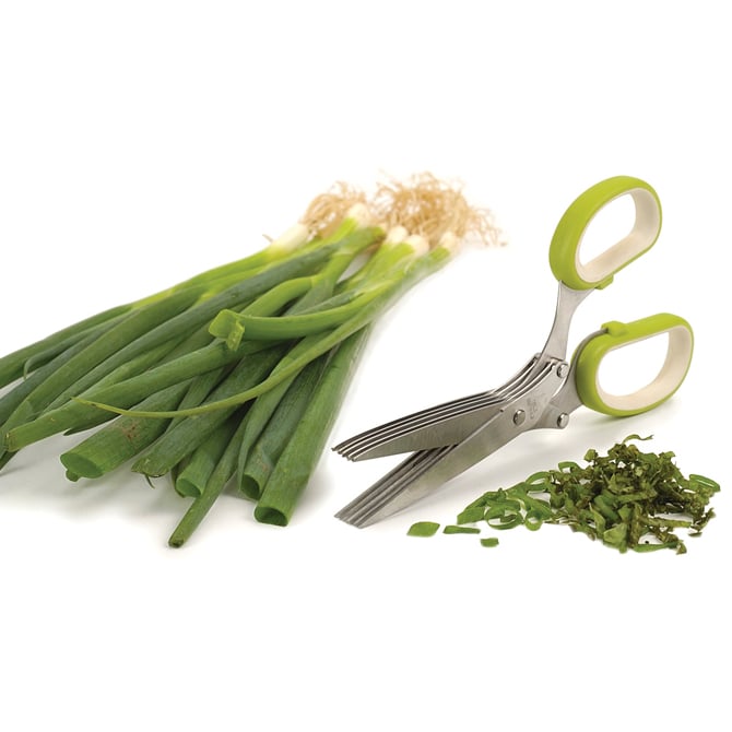 Five Blade Stainless Steel Herb Scissors with Cover