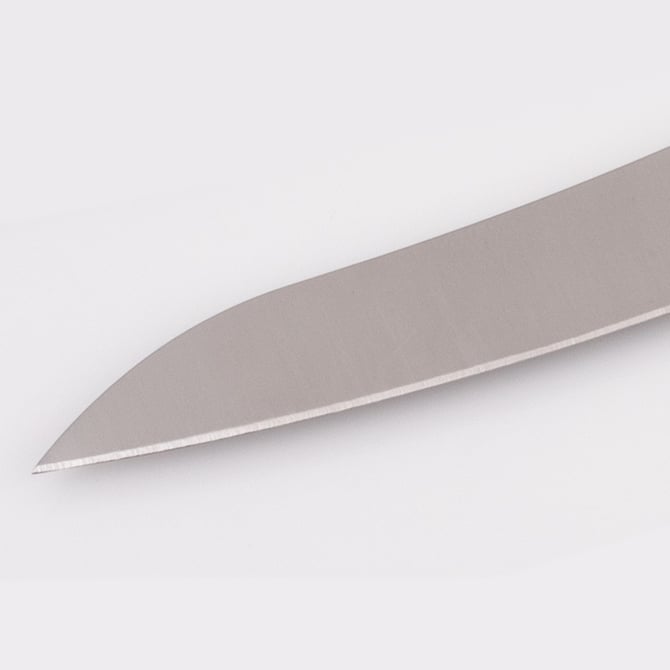 Spyderco Z-Cut Pointed kitchen knife