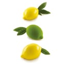 Limone & Lime 120 Silicone Molds - 4 Forms