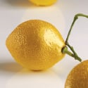 Pavoni Citron Mold - Cedric Grolet