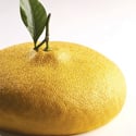 Pavocake Citron 1 Mold - Cedric Grolet