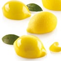 Limone & Lime 30 Silicone Mold with Cutter