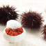 Sea Urchin Dishes