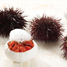 Sea Urchin Dish - Medium