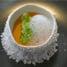 Sea Urchin Dish - Large