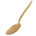 Chef Gray Kunz Gold Spoon