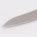 Spyderco Pointed Z-Cut - Plain Blade